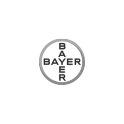 Bayer