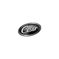 Cesar