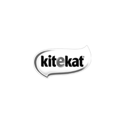 KiteKat