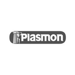 Plasmon