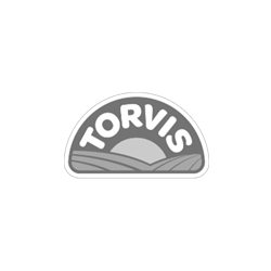 Torvis